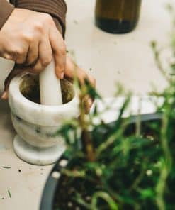 Introduction to Herbal Elixirs